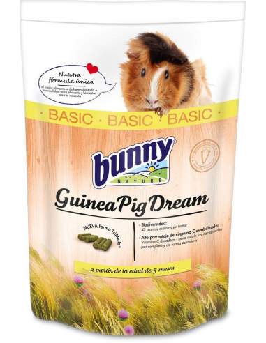 Guinea Pig Dream Basic
