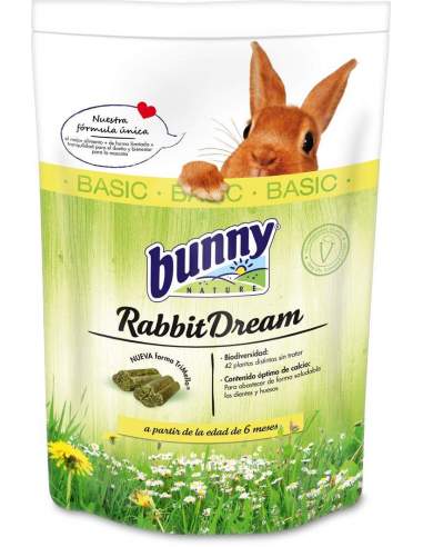 Rabbit Dream Basic