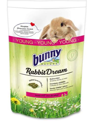 Rabbit Dream Young