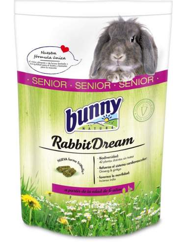 Rabbit dream senior