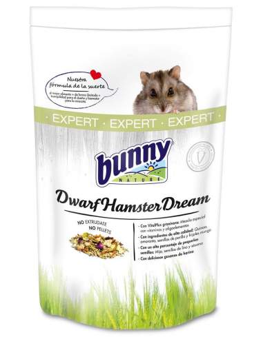 Dwarf hamster dream expert