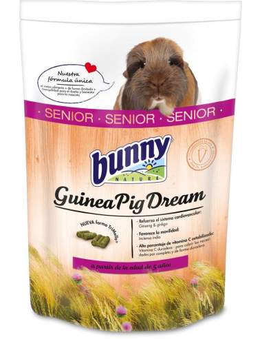 Guinea pig Dream Senior
