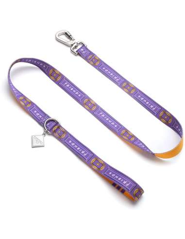 Friends: Purple Door dog leash with safety catch