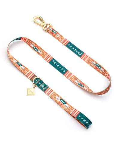 Friends: Central Perk dog leash with safety catch