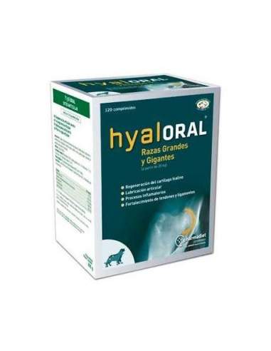 Hyaloral dogs, cats and horses